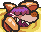 Sandshark+ portrait