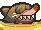 Sandshark portrait